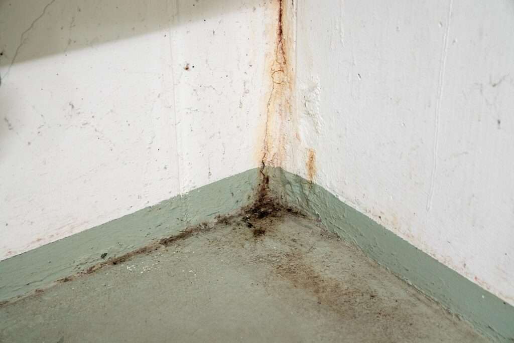 Slab leaks need to be corrected as soon as possible. | ProlinePlumbingOKC.com